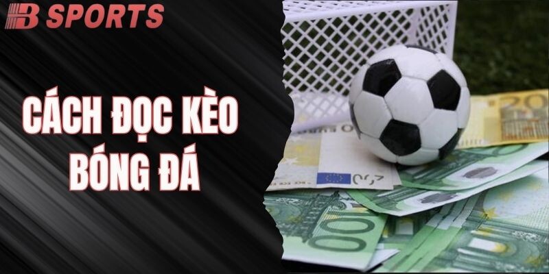 Cách Đọc Kèo Bóng Đá Chuẩn Xác Nhất Cho Tất Cả Người Chơi