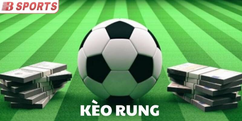 Giải mã những ký hiệu quan trọng trong kèo rung