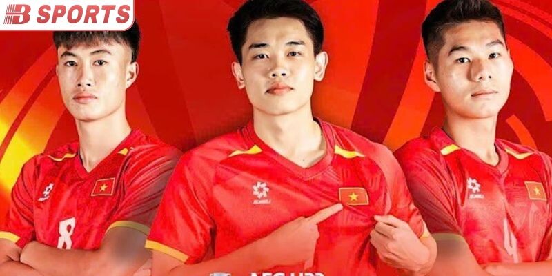 Thông tin về giải V-League